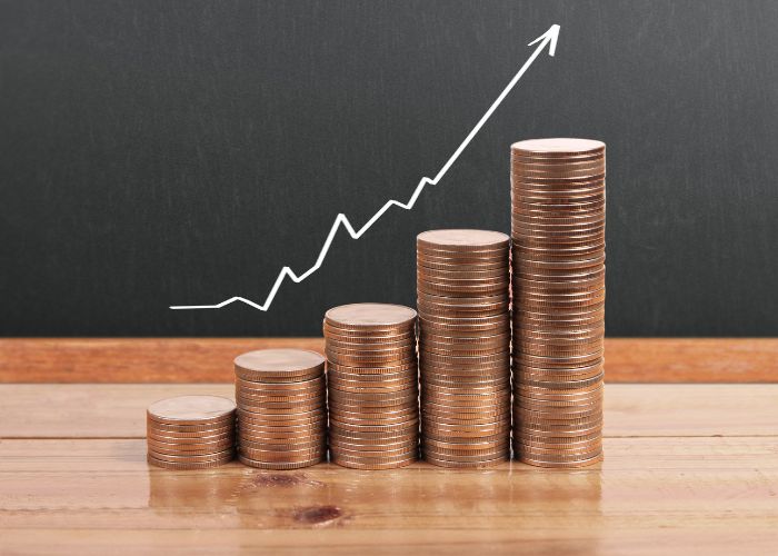 Maximising Your Financial Freedom Through Debt Review Maximising Your Financial Freedom Through Debt Review
